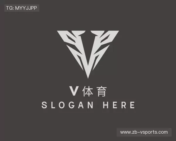 关于V体育官方网站